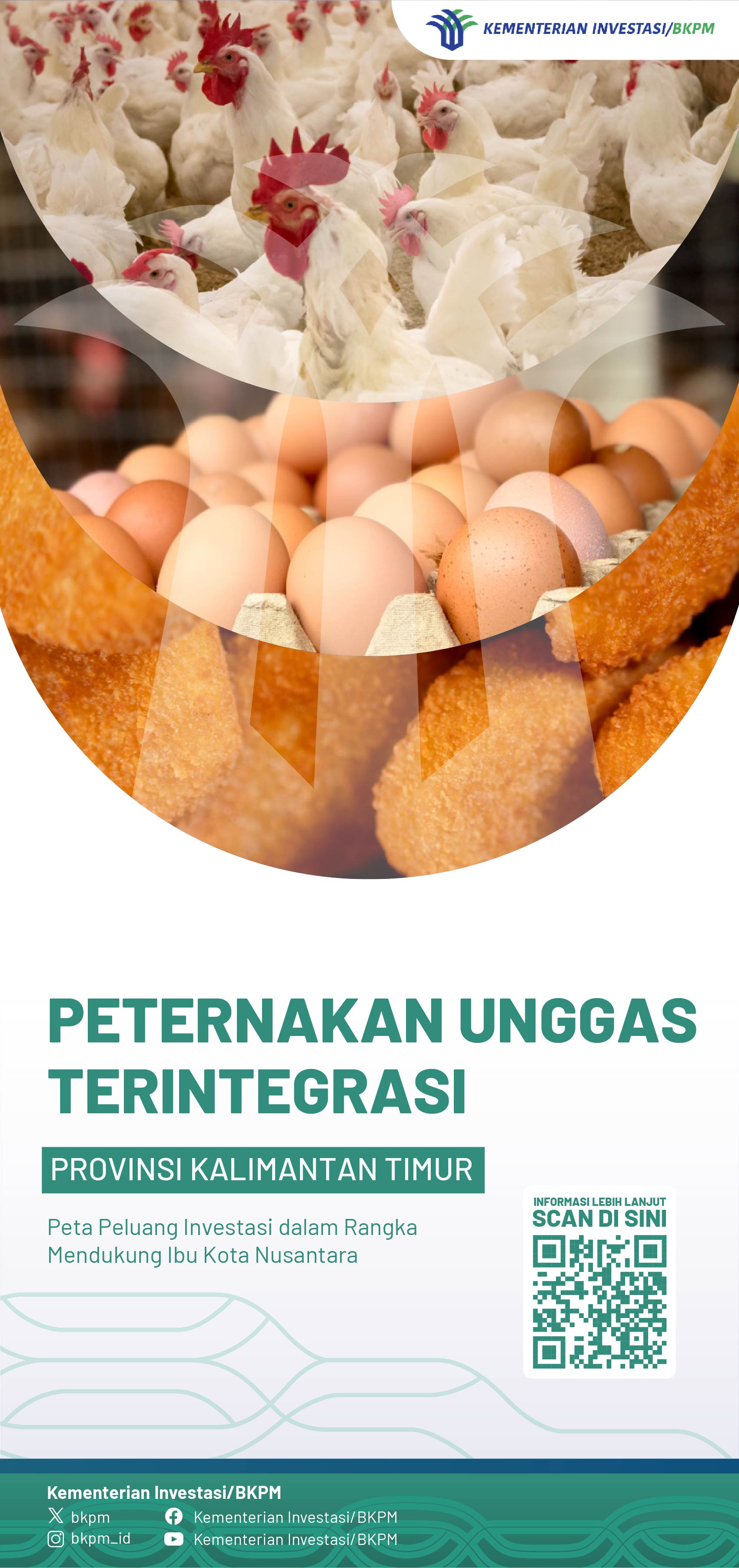 img not found